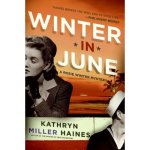 Winter in June: A Rosie Winter Mystery Rosie Winter Mysteries